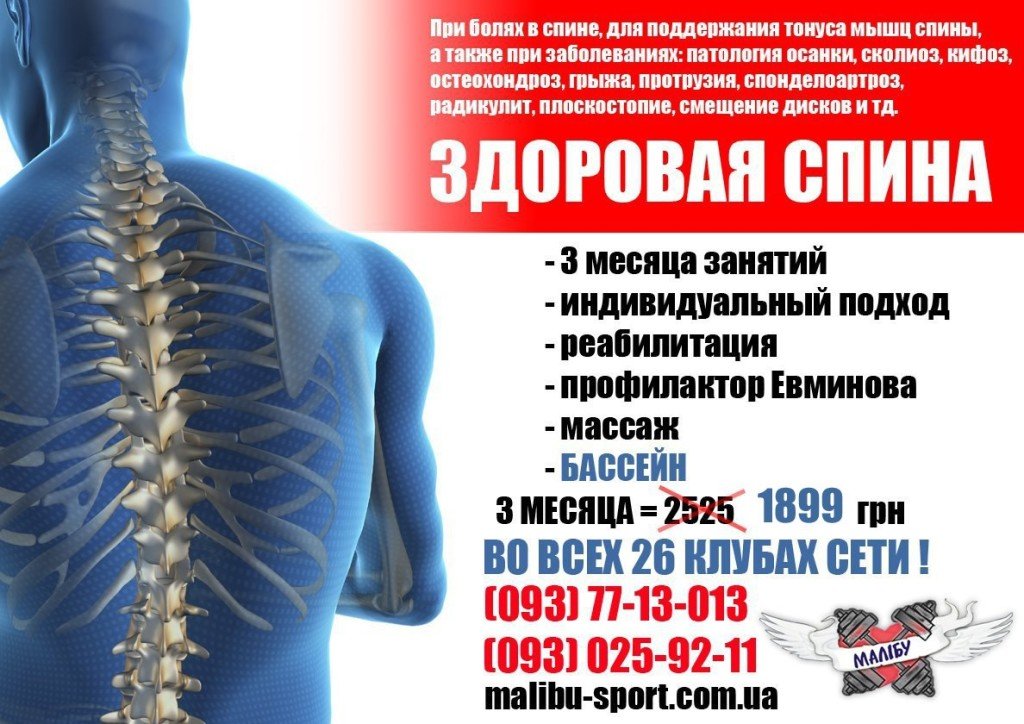 спина